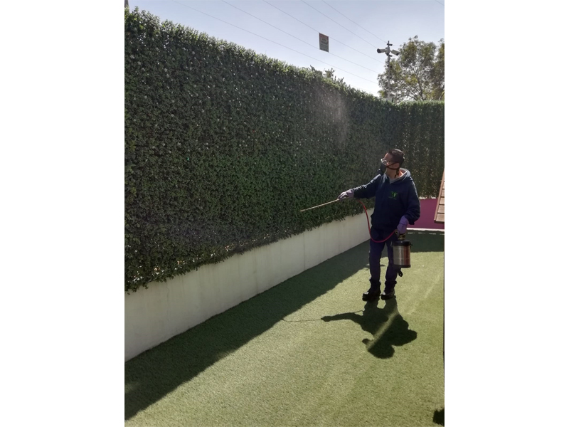 Desinsectacion-Aspersión